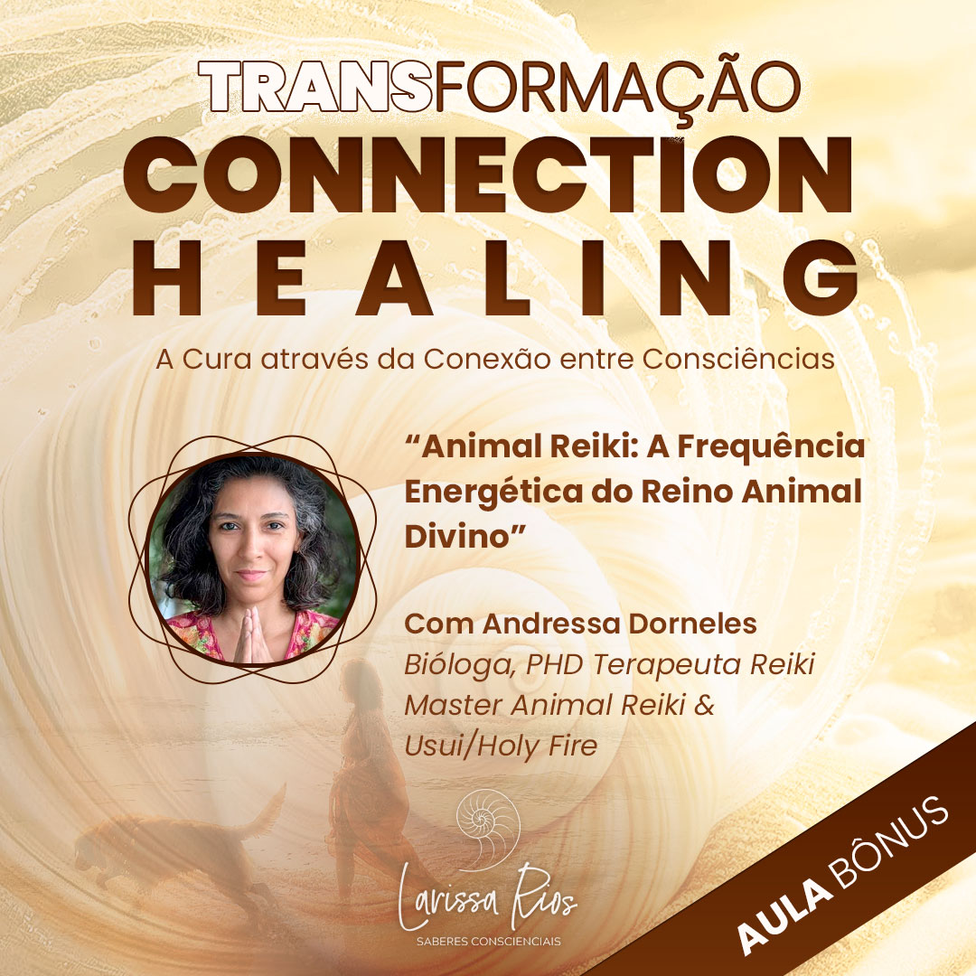 modelo-FEED-aula-bonus-andressa