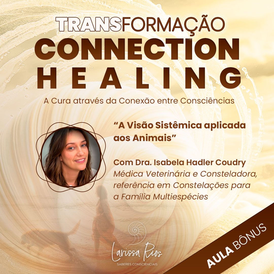 modelo-FEED-aula-bonus-isabela