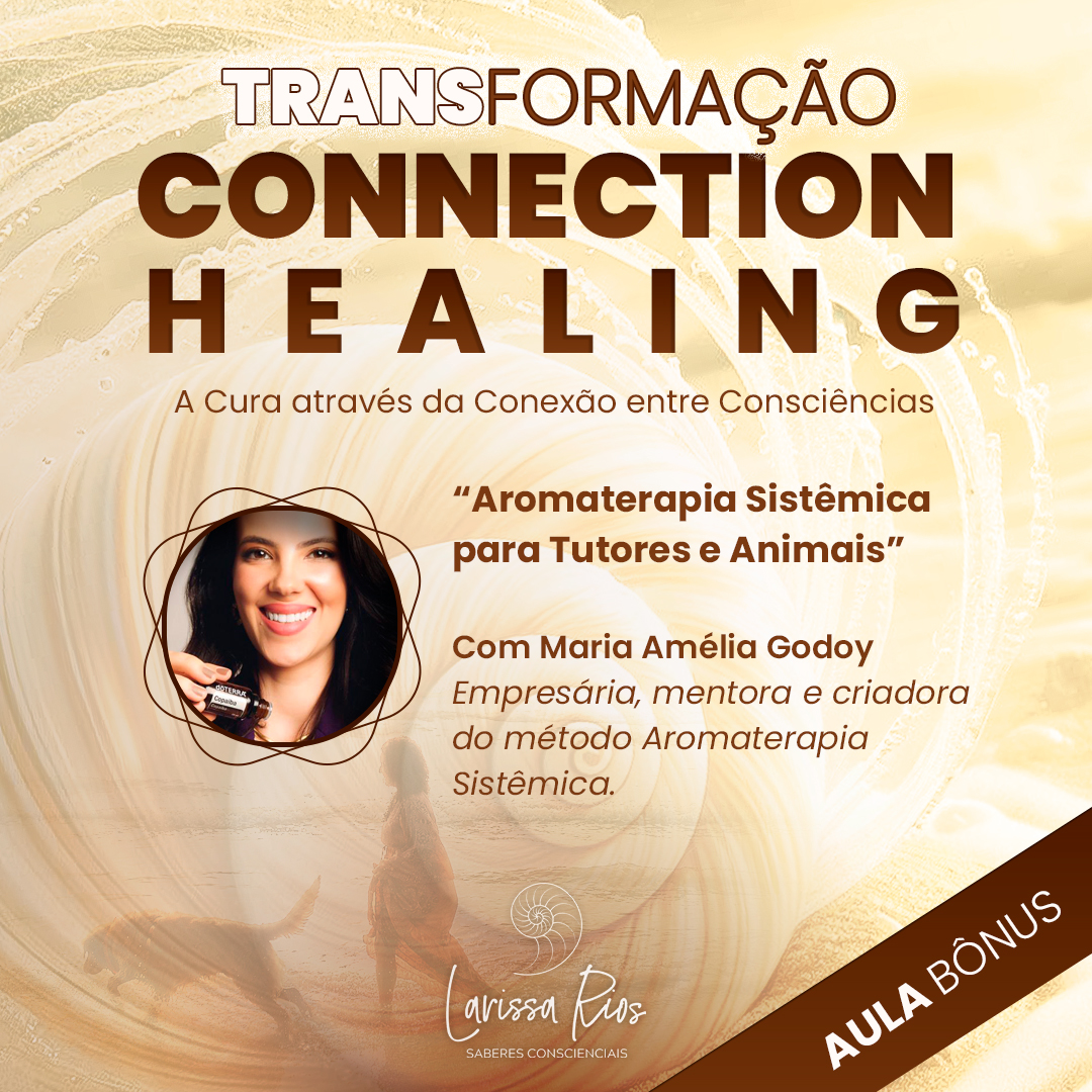 modelo-FEED-aula-bonus-maria-amelia