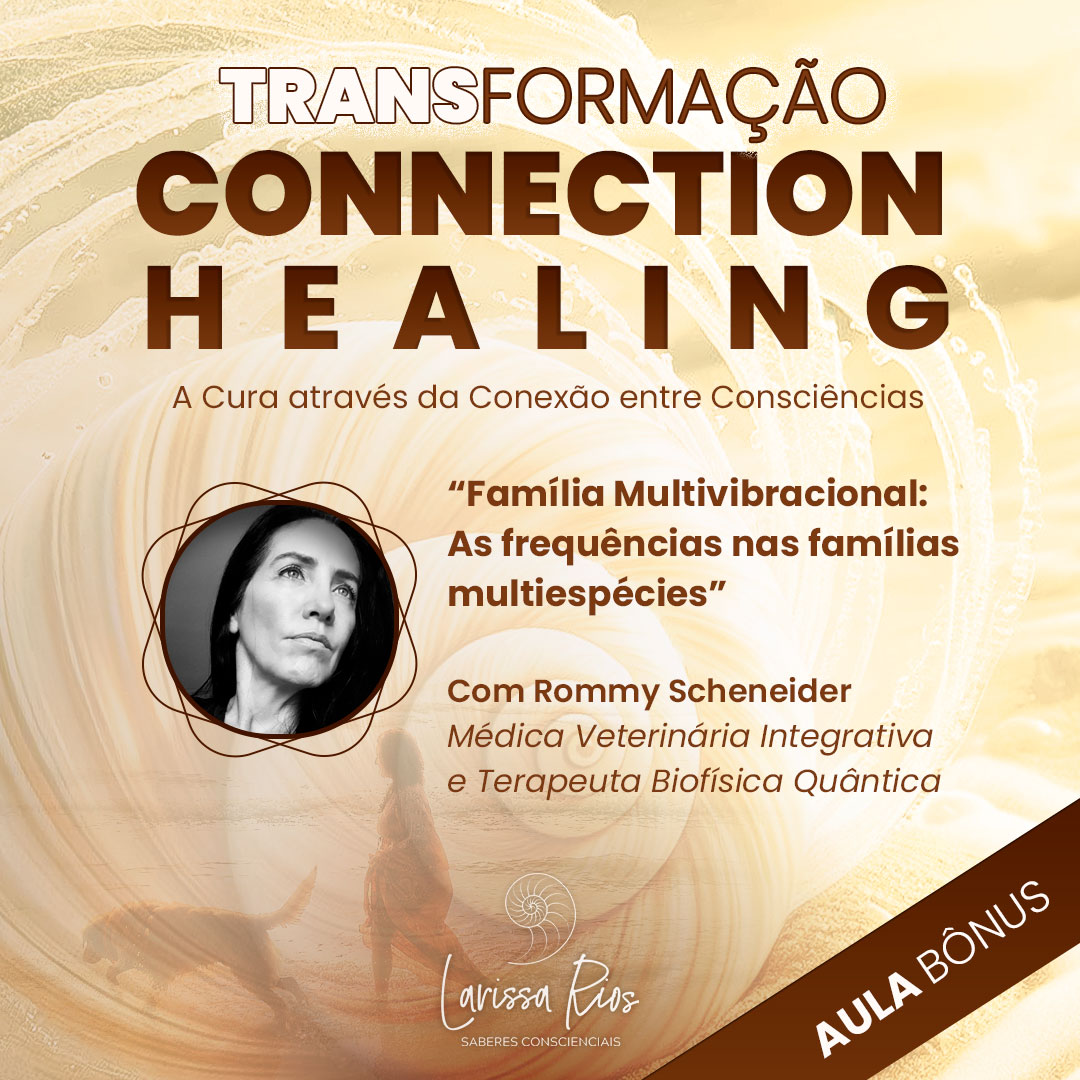 modelo-FEED-aula-bonus-rommy